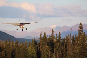 88d399_eb1d700d17944121930c1b4740b92e71~mv2